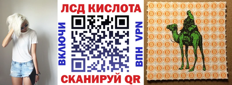 Марки NBOMe 1,8мг где найти Порхов