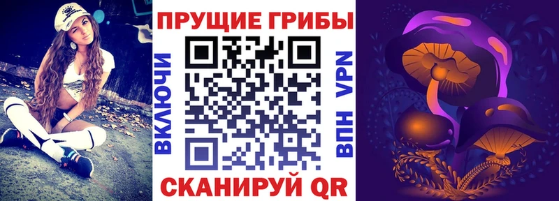 Галлюциногенные грибы Psilocybine cubensis  как найти закладки  Порхов 